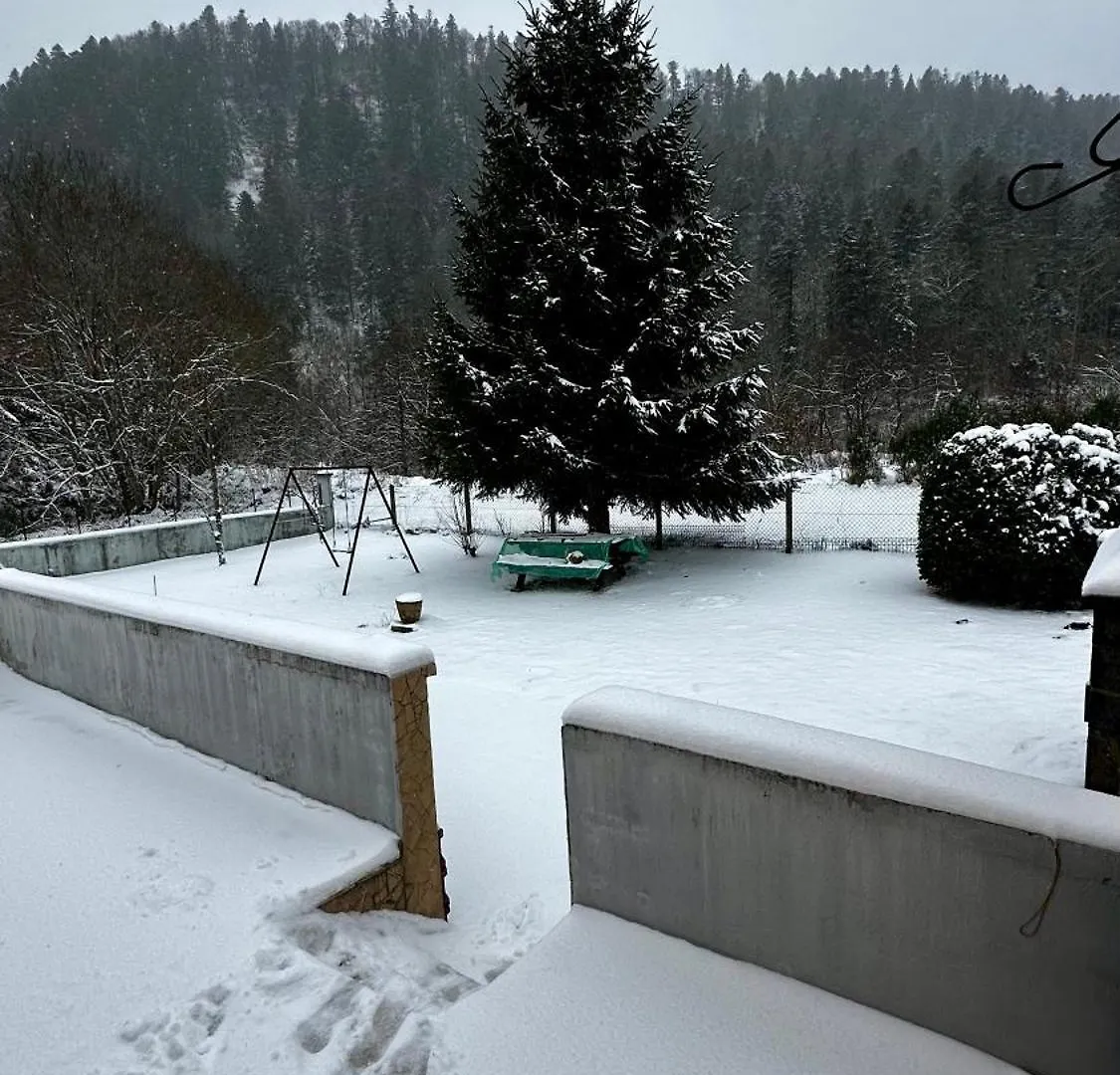 Holiday home L'Ecole Du Hameau 9Pers Le Mont Dore France